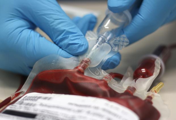 Closeup of gloved hands using a blood transfusion bag