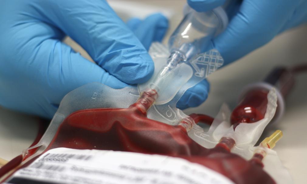 Closeup of gloved hands using a blood transfusion bag