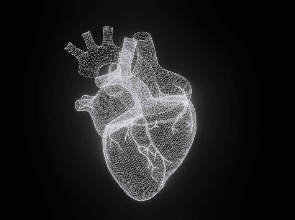3D illustration of adult human heart in white against a black background